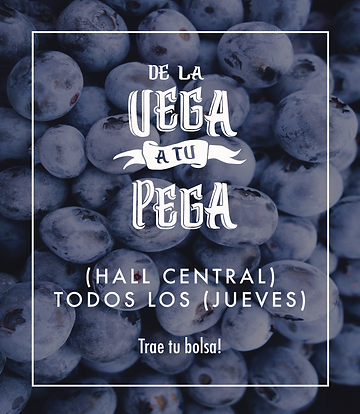 Captura de pantalla 2018-08-06 a la(s) 7.13.39 PM.png