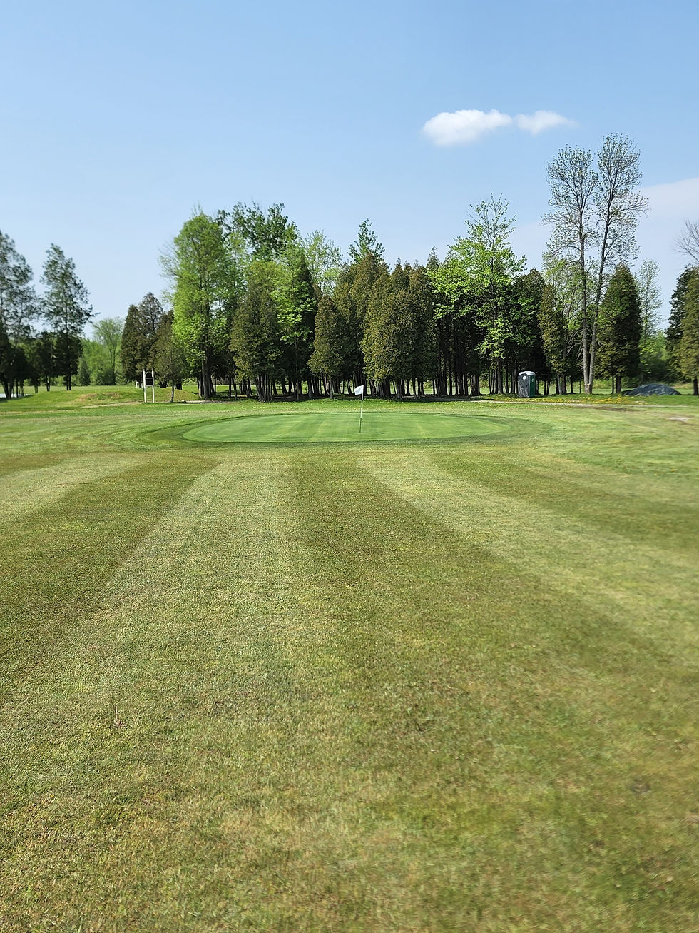 2024 Single Membership My Site