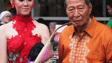 PEJE FASHION CARNIVAL