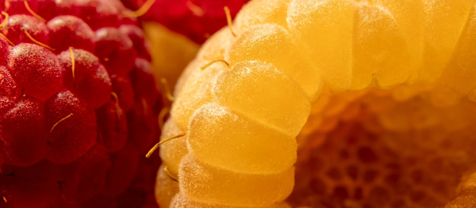 Manger en conscience