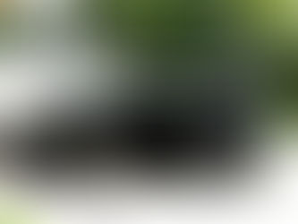 A solar-paneled German car aims to make your daily commute free