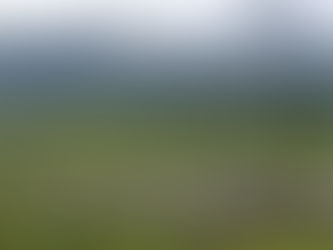 Avoiding meat and dairy is ‘single biggest way’ to reduce your impact on Earth