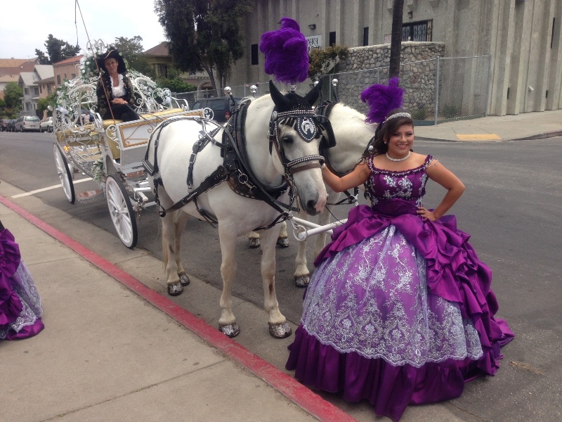 Cinderella Quinceanera Carriage Rental CA Cindy Cinderella Carriages