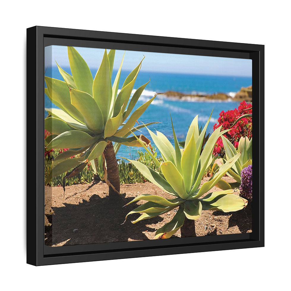 Thumbnail: Coastal Floral 