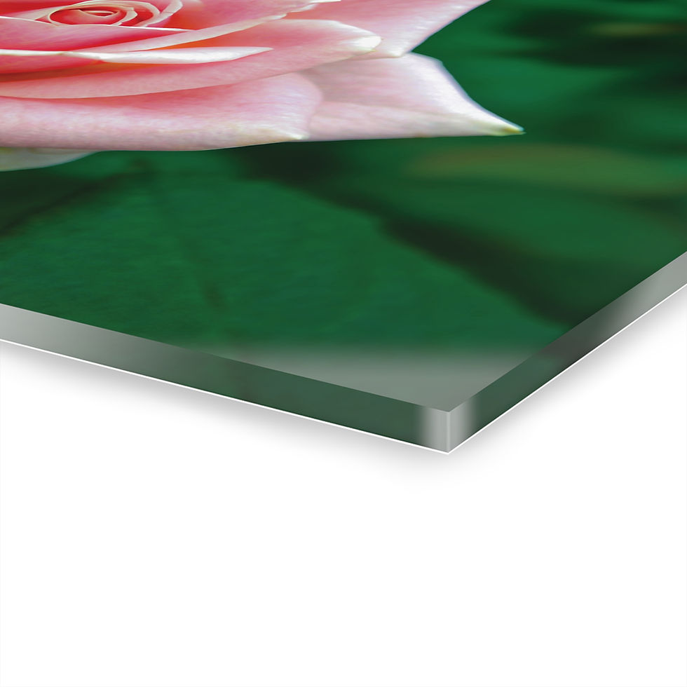 Thumbnail: Innocence