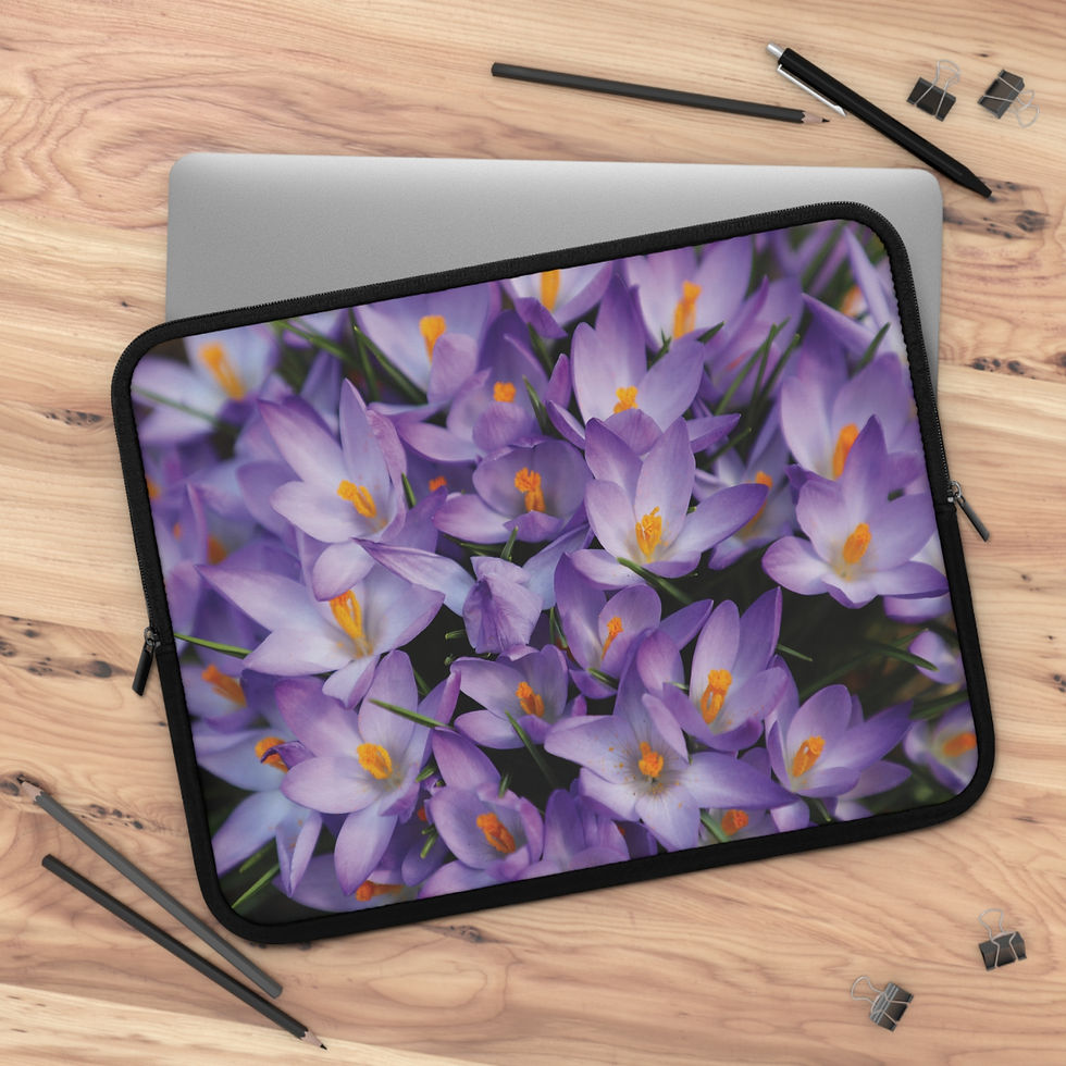 Thumbnail: New Beginnings 