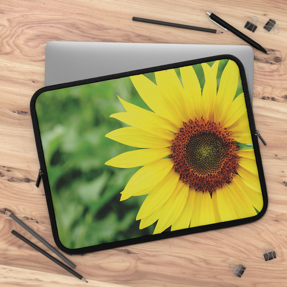 Thumbnail: Staring into the Sun 