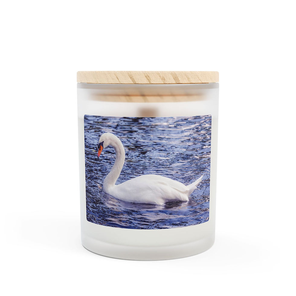 Thumbnail: White Swan 