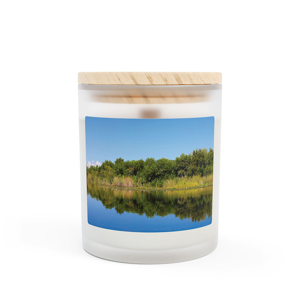 Thumbnail: Everglades 