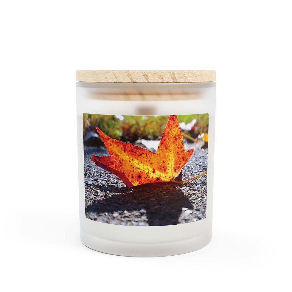 Thumbnail: Shadow Effect