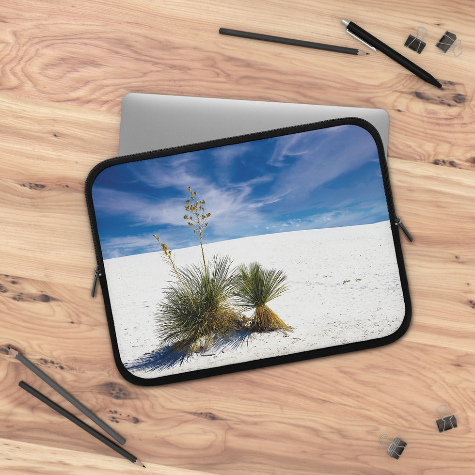 Thumbnail: White Sands 