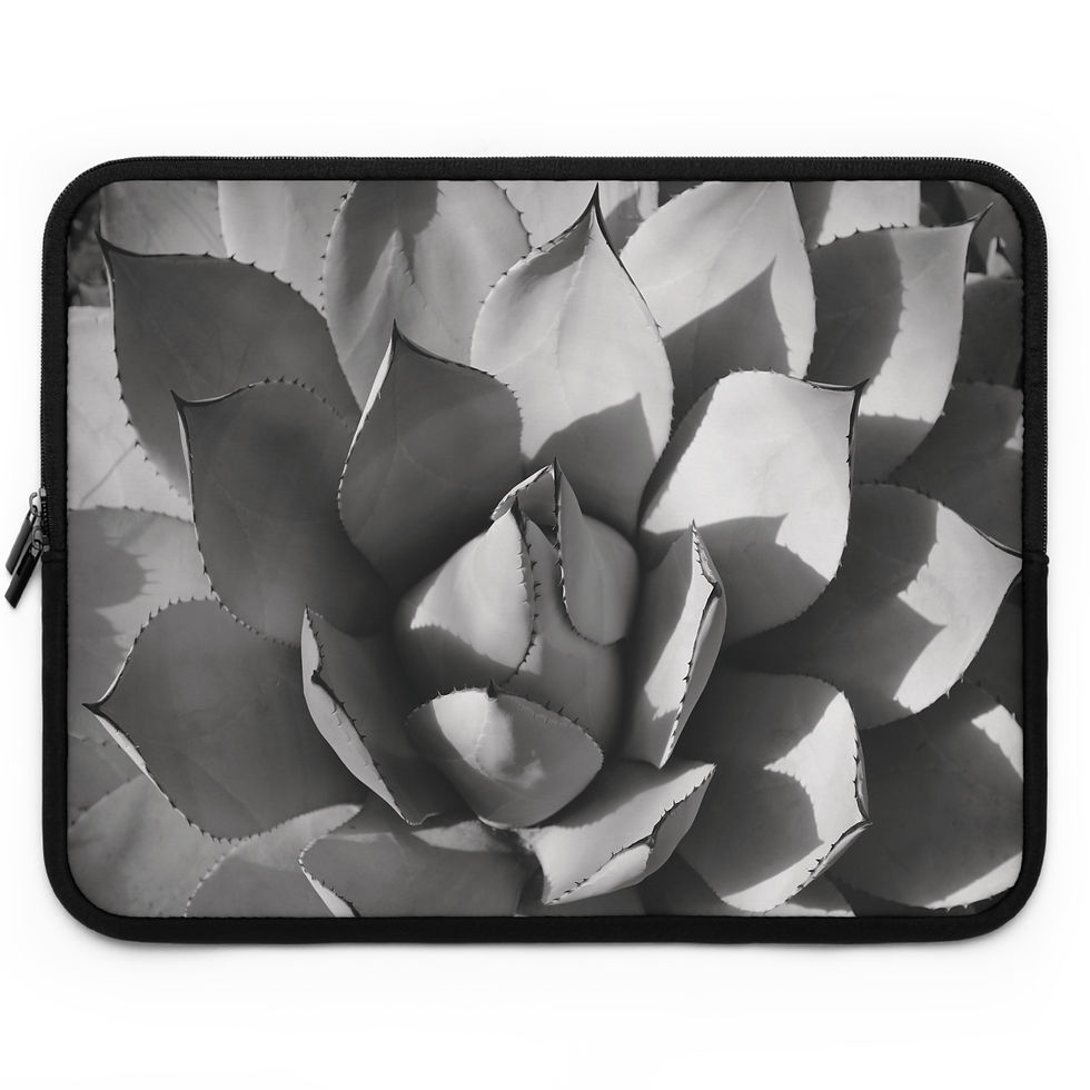 Thumbnail: Desert Shadows 