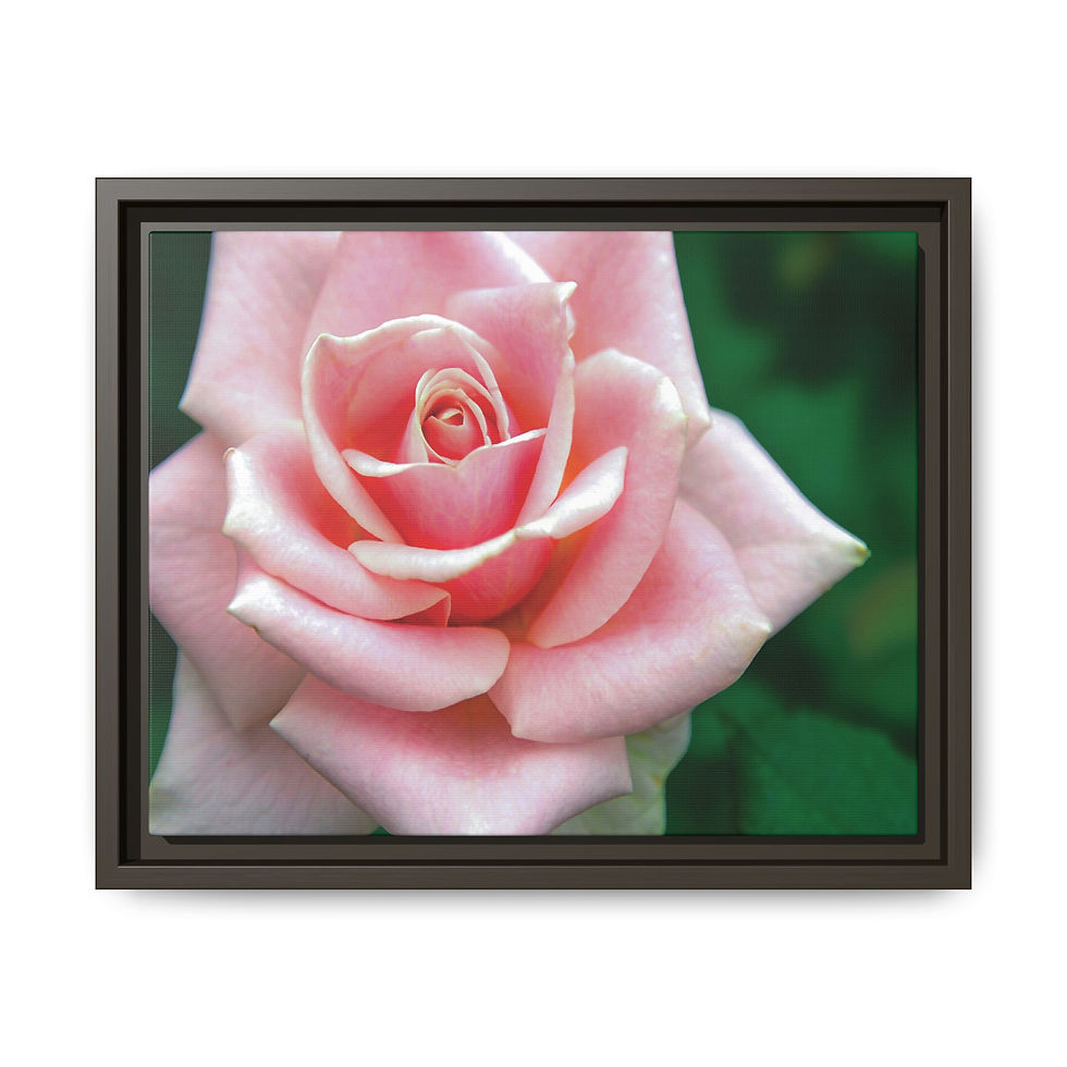 Thumbnail: Innocence