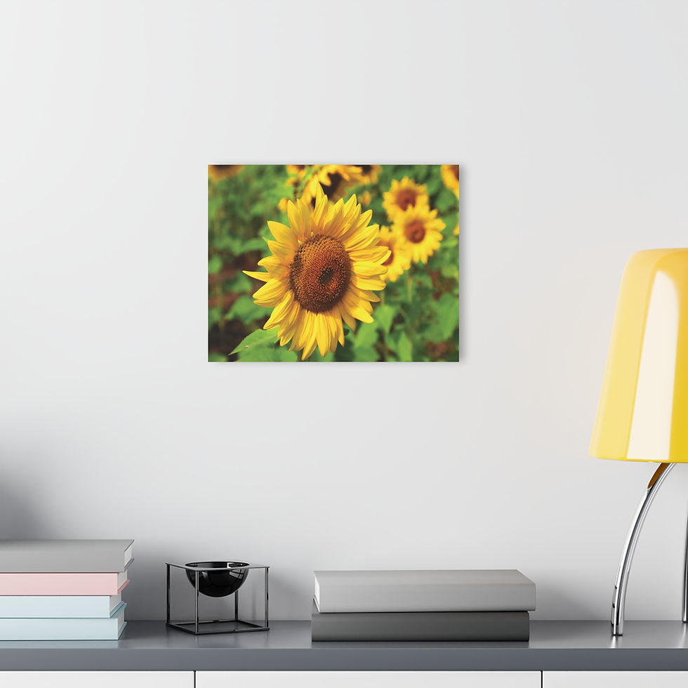 Thumbnail: Sunflower 
