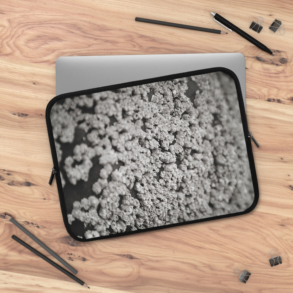 Thumbnail: Traveling Ashore 