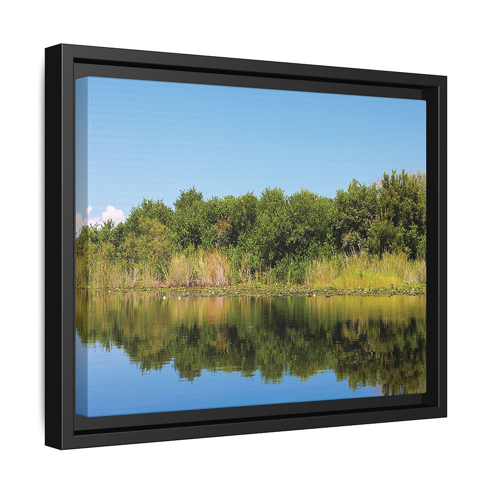 Thumbnail: Everglades 