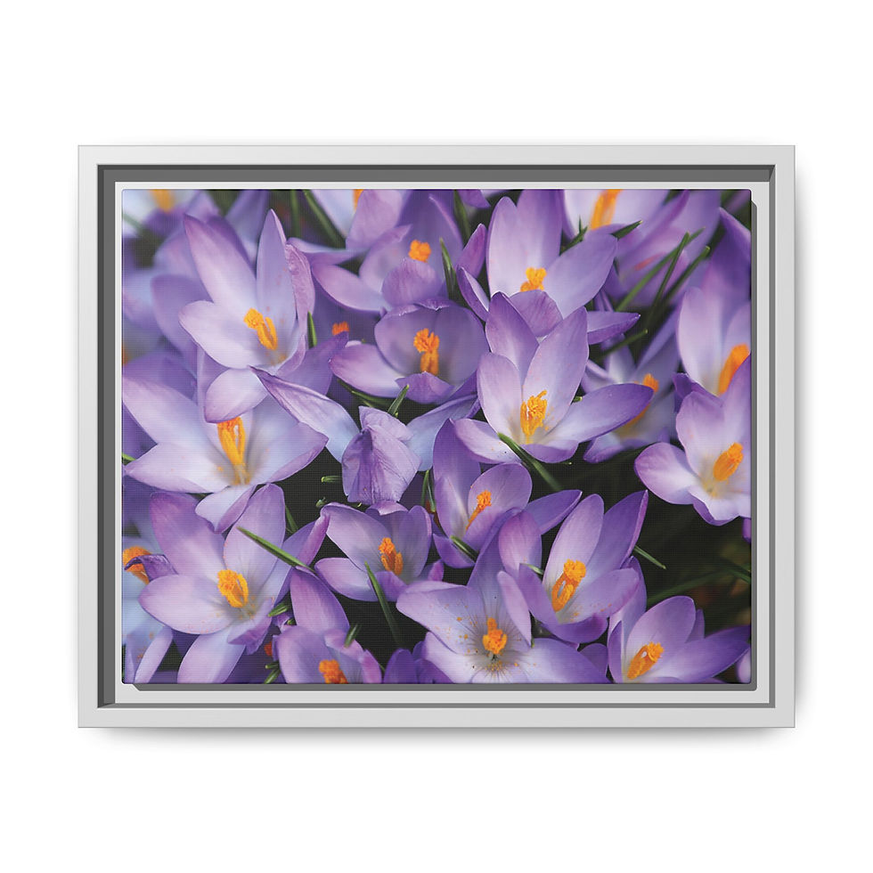 Thumbnail: New Beginnings 