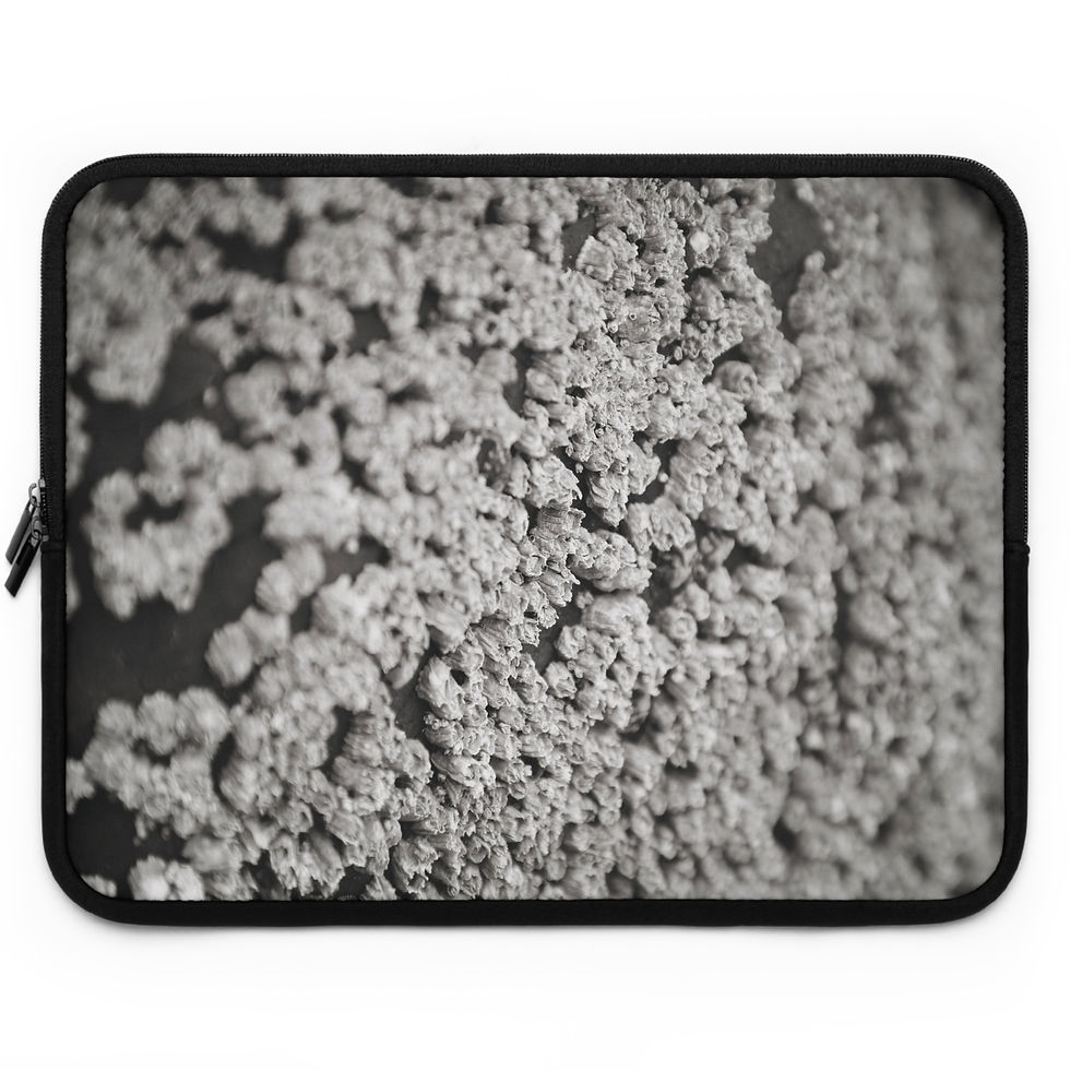 Thumbnail: Traveling Ashore 