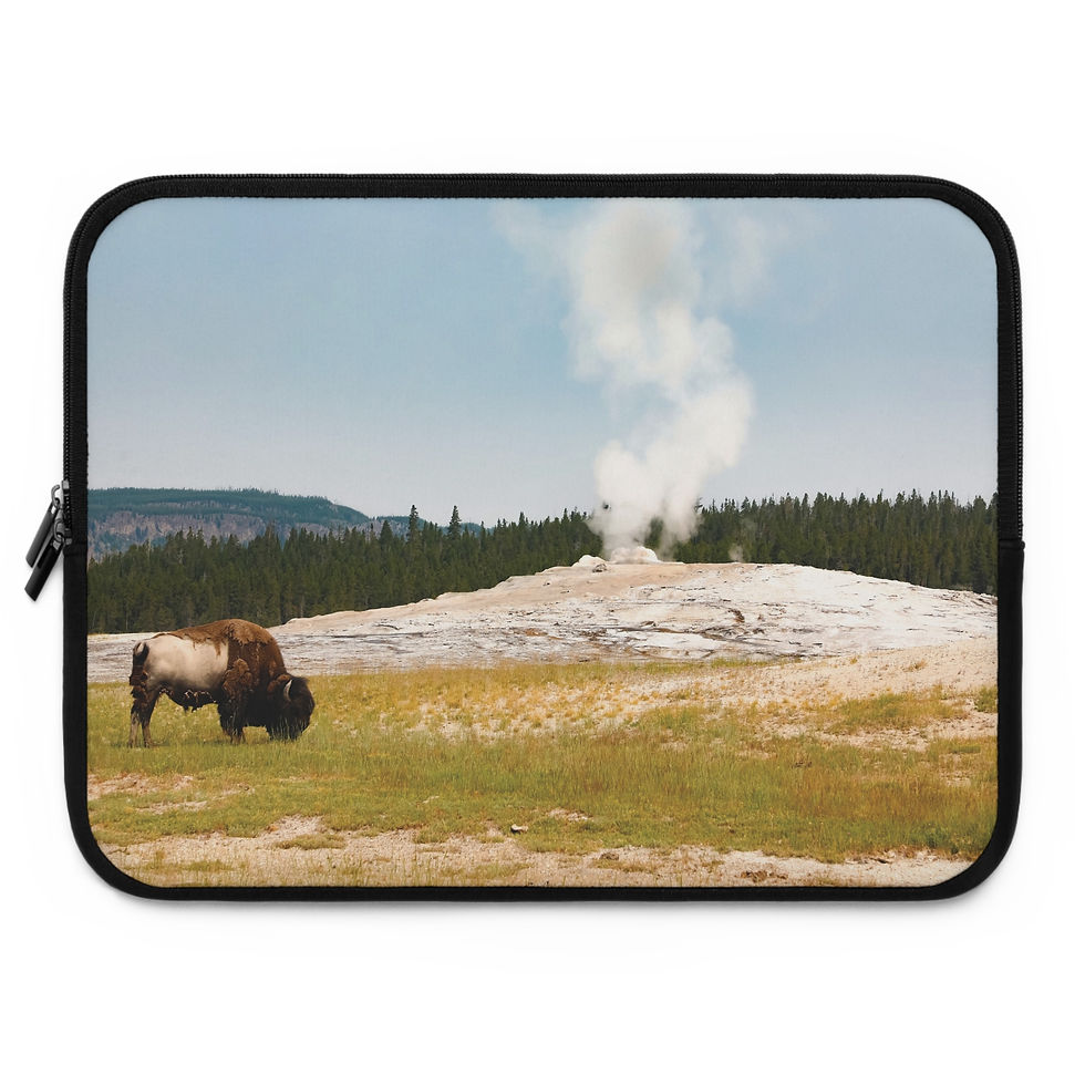 Thumbnail: Old Faithful 