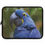 Thumbnail: Macaw Parrot 