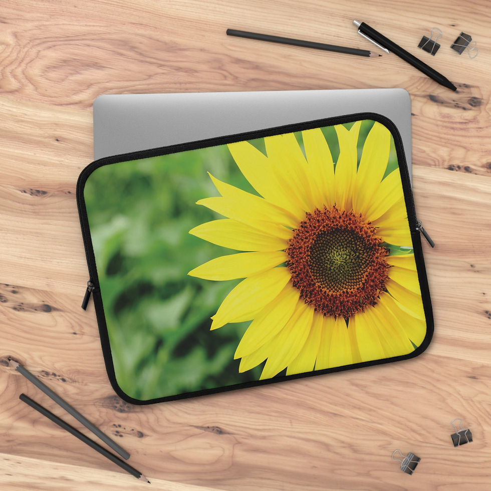 Thumbnail: Staring into the Sun 