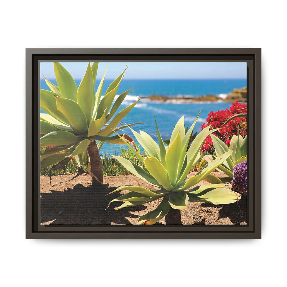Thumbnail: Coastal Floral 