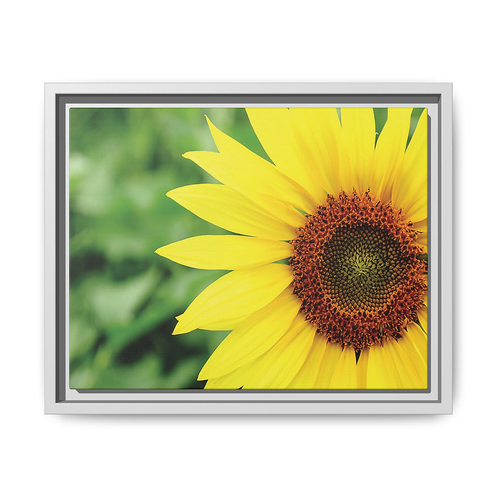 Thumbnail: Staring into the Sun