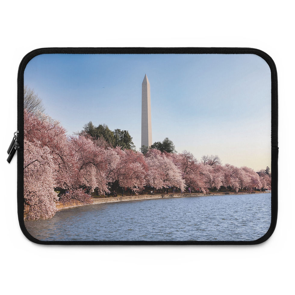 Thumbnail: The Washington Monument