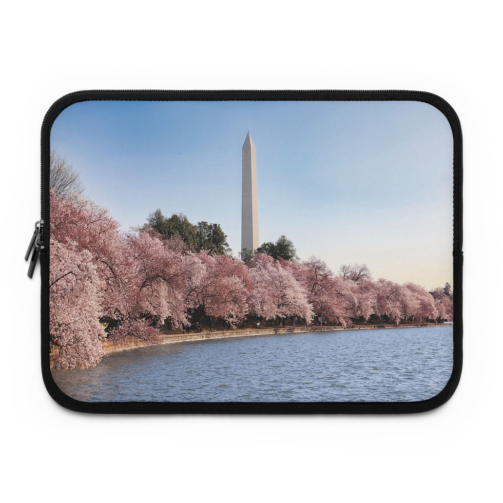 The Washington Monument