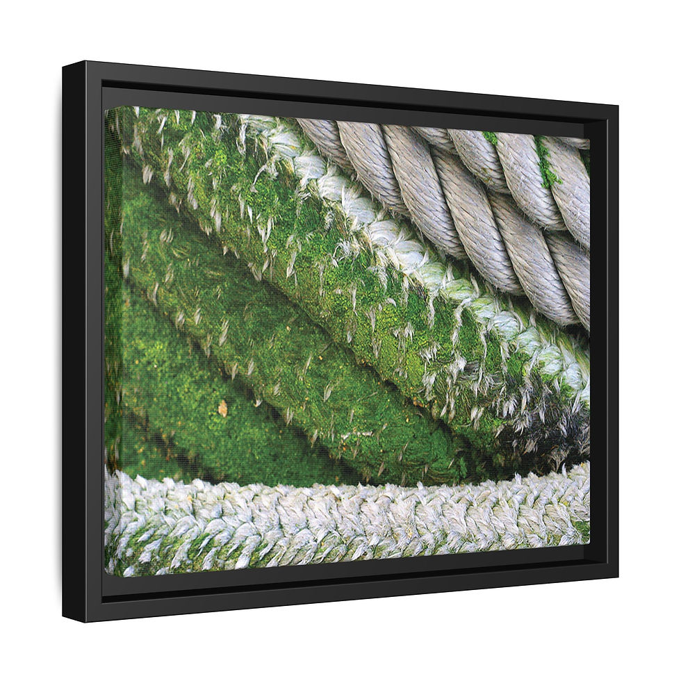 Thumbnail: Waiting to Embark 