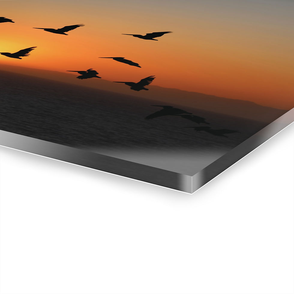 Thumbnail: Birds of Paradise 