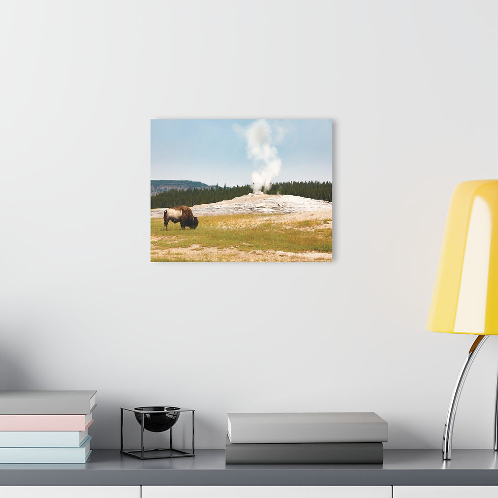 Thumbnail: Old Faithful 