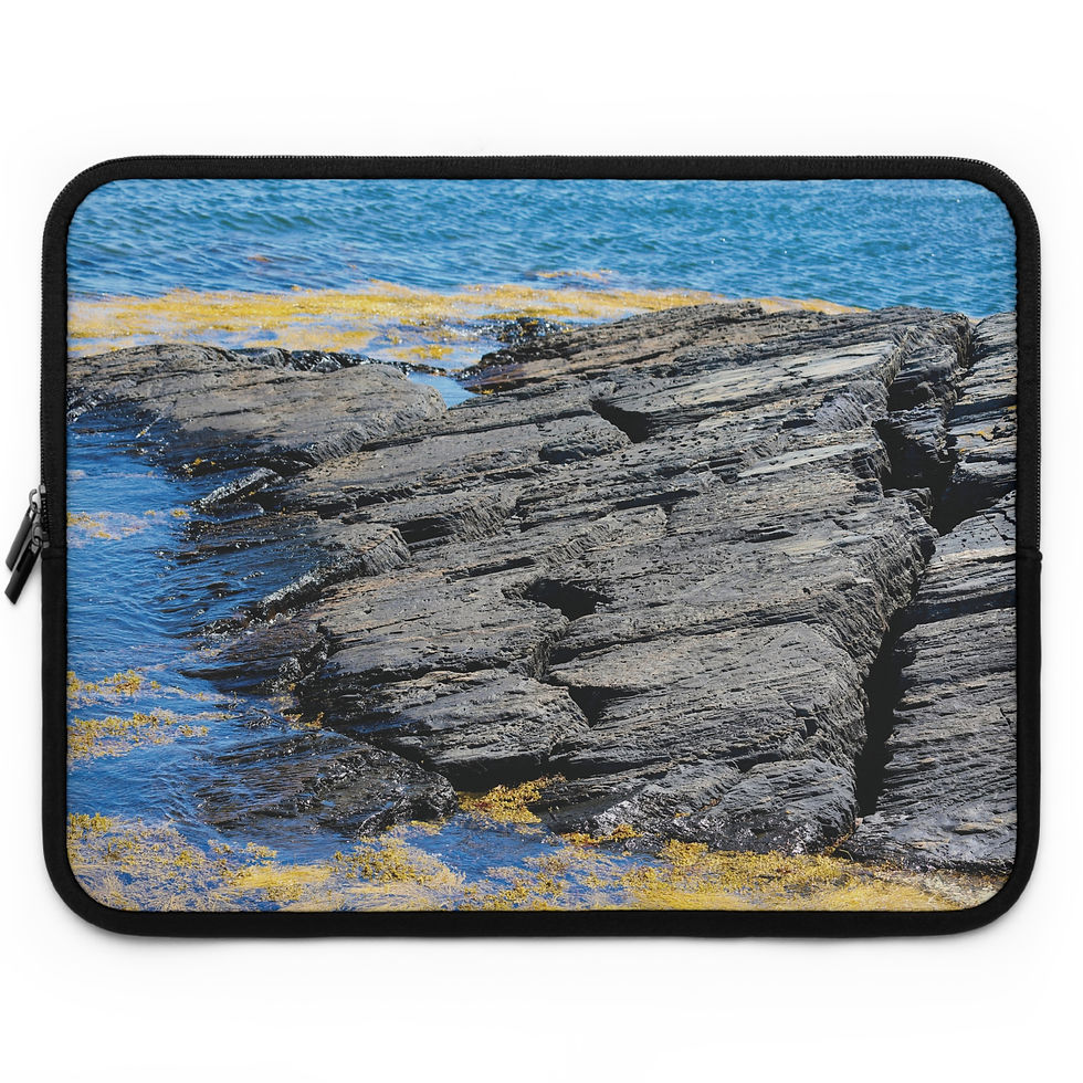 Thumbnail: Metamorphic Rock