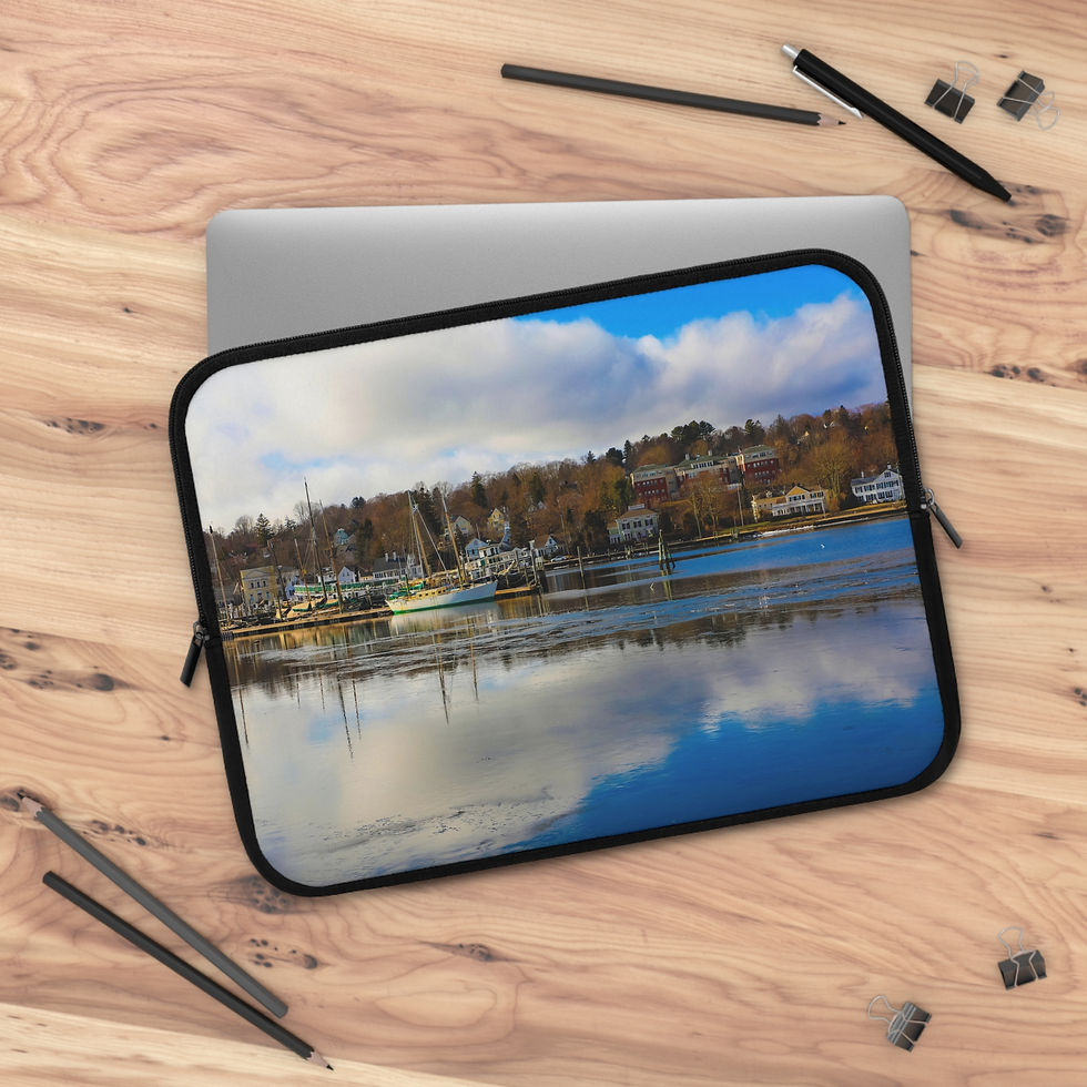 Thumbnail: Mirroring the Sky 