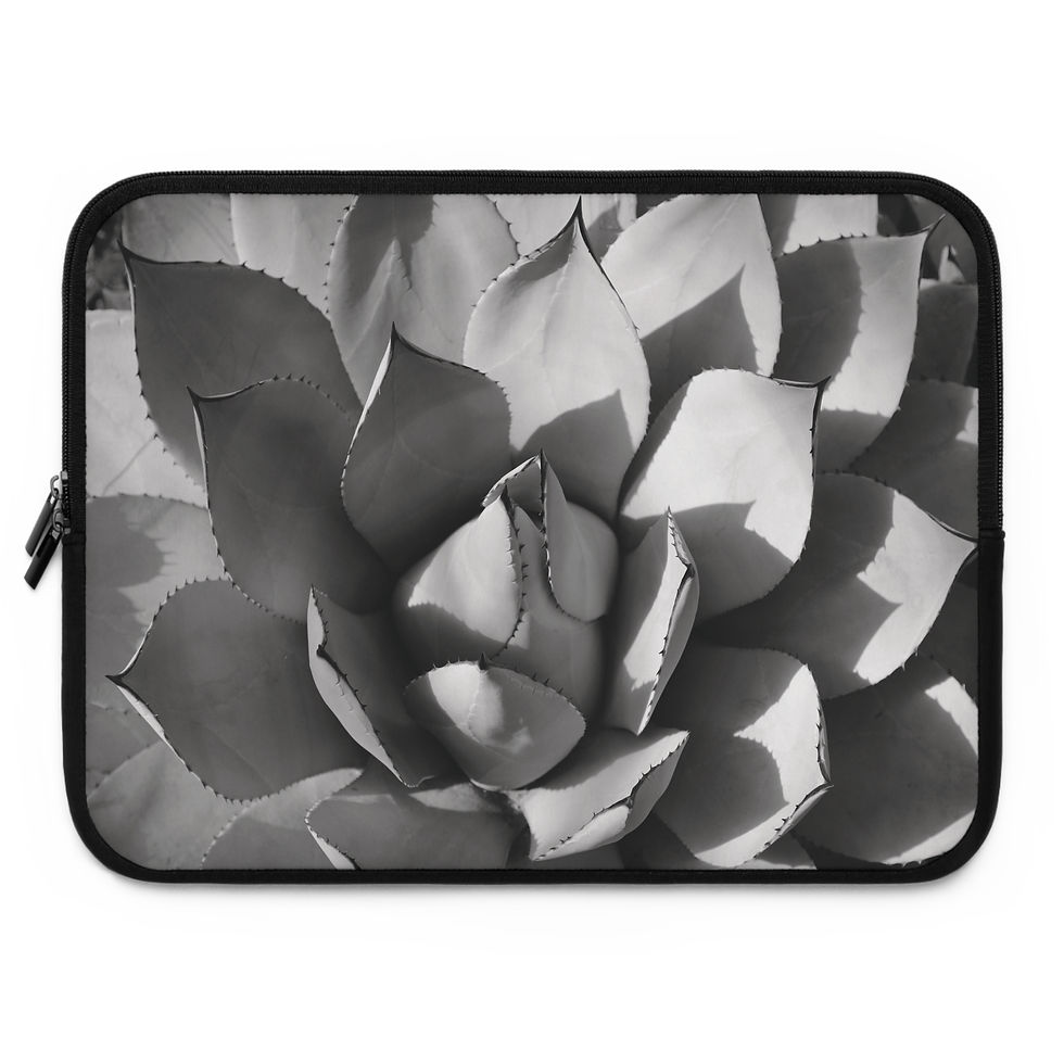 Thumbnail: Desert Shadows 