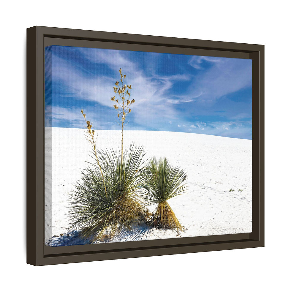 Thumbnail: White Sands