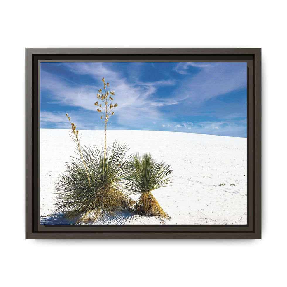 Thumbnail: White Sands