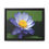 Thumbnail: Lotus Flower