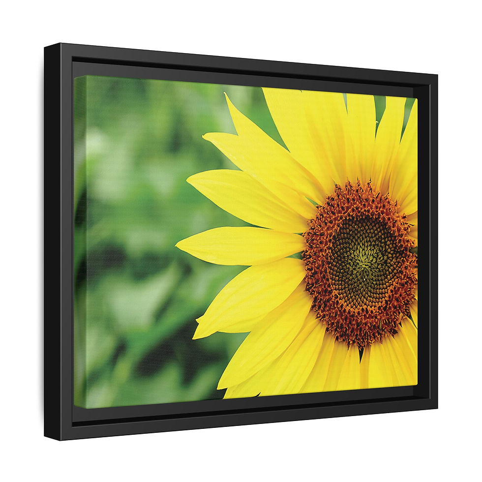 Thumbnail: Staring into the Sun