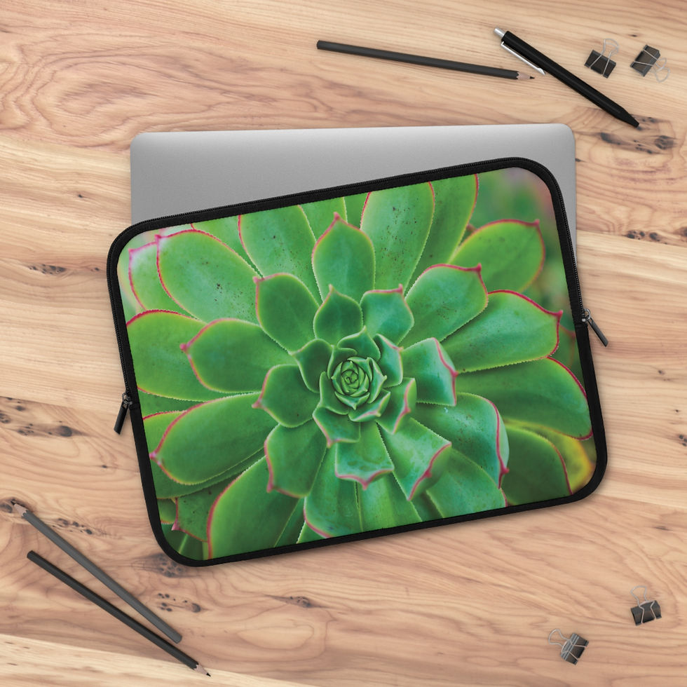 Thumbnail: Cactus Blossom 