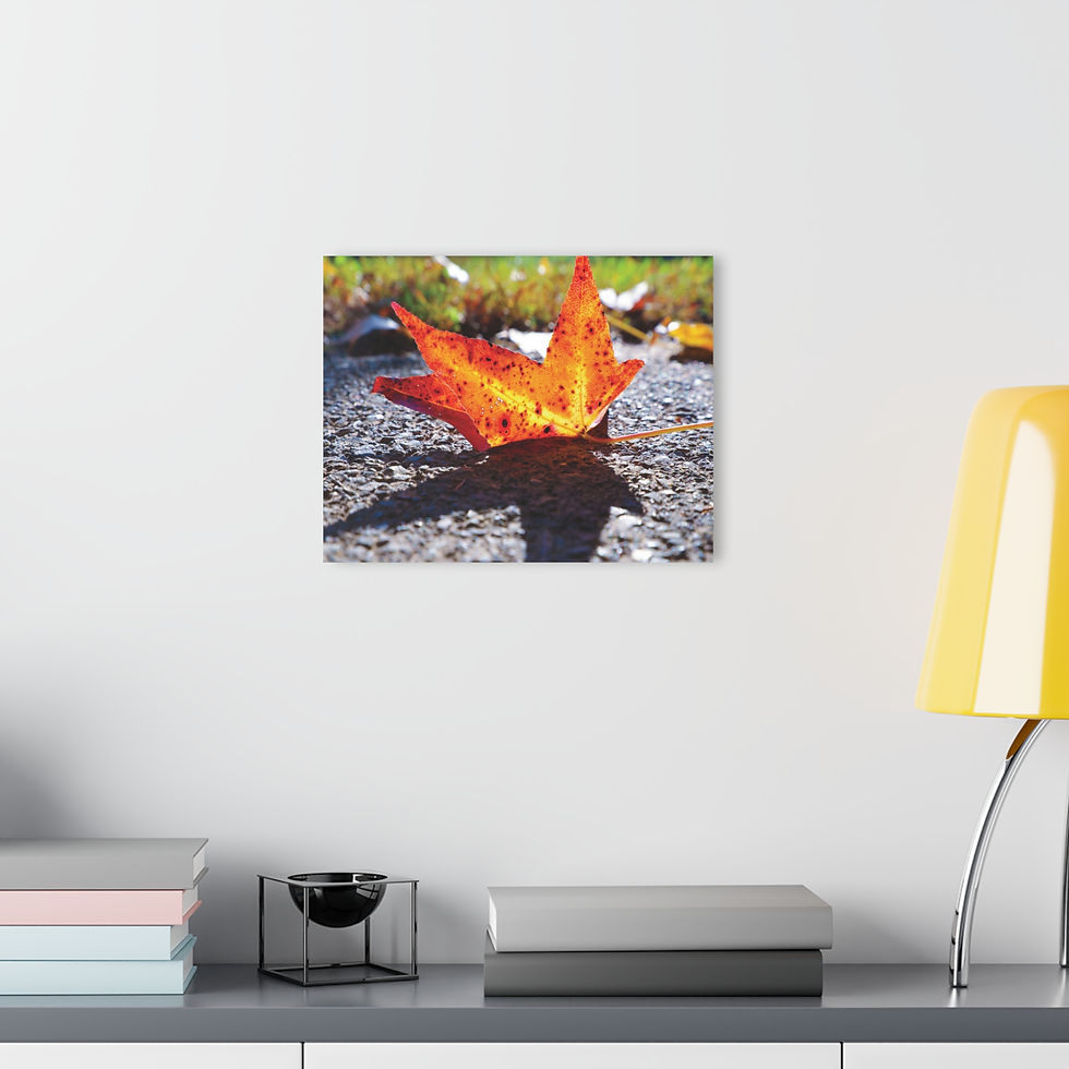 Thumbnail: Shadow Effect 