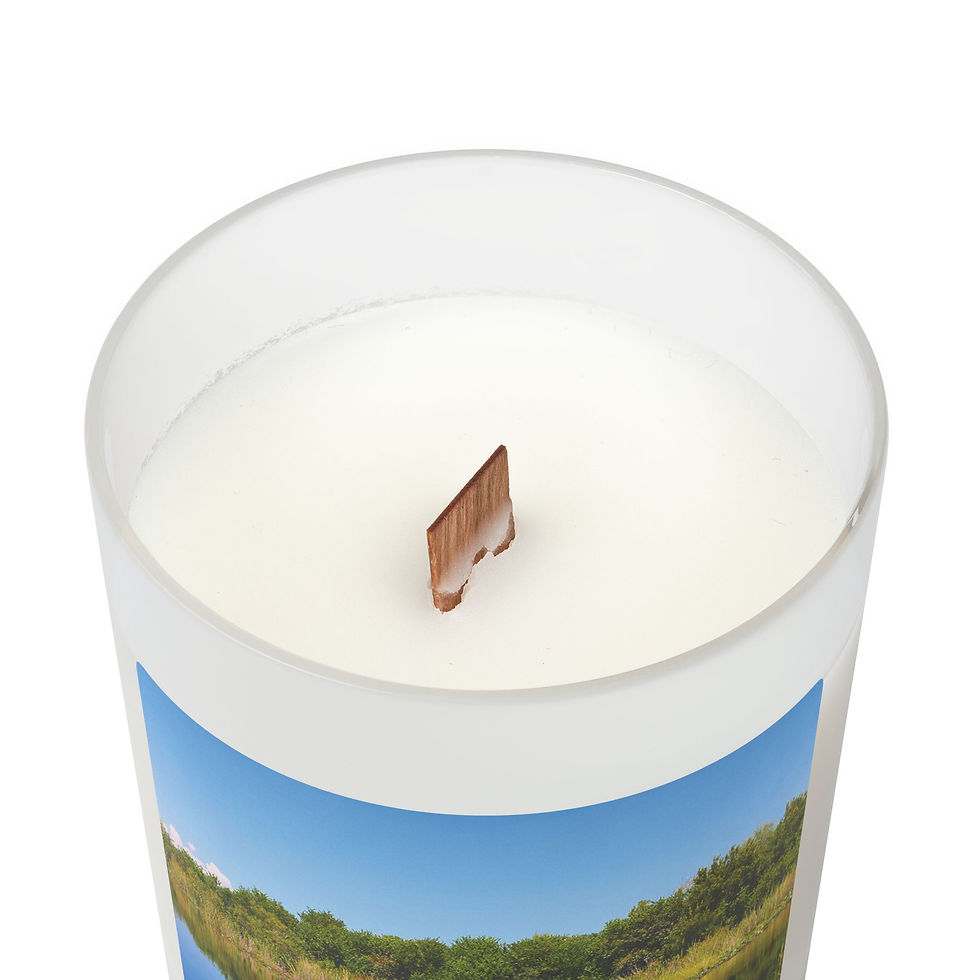 Thumbnail: Everglades 