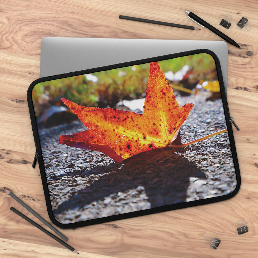 Thumbnail: Shadow Effect 