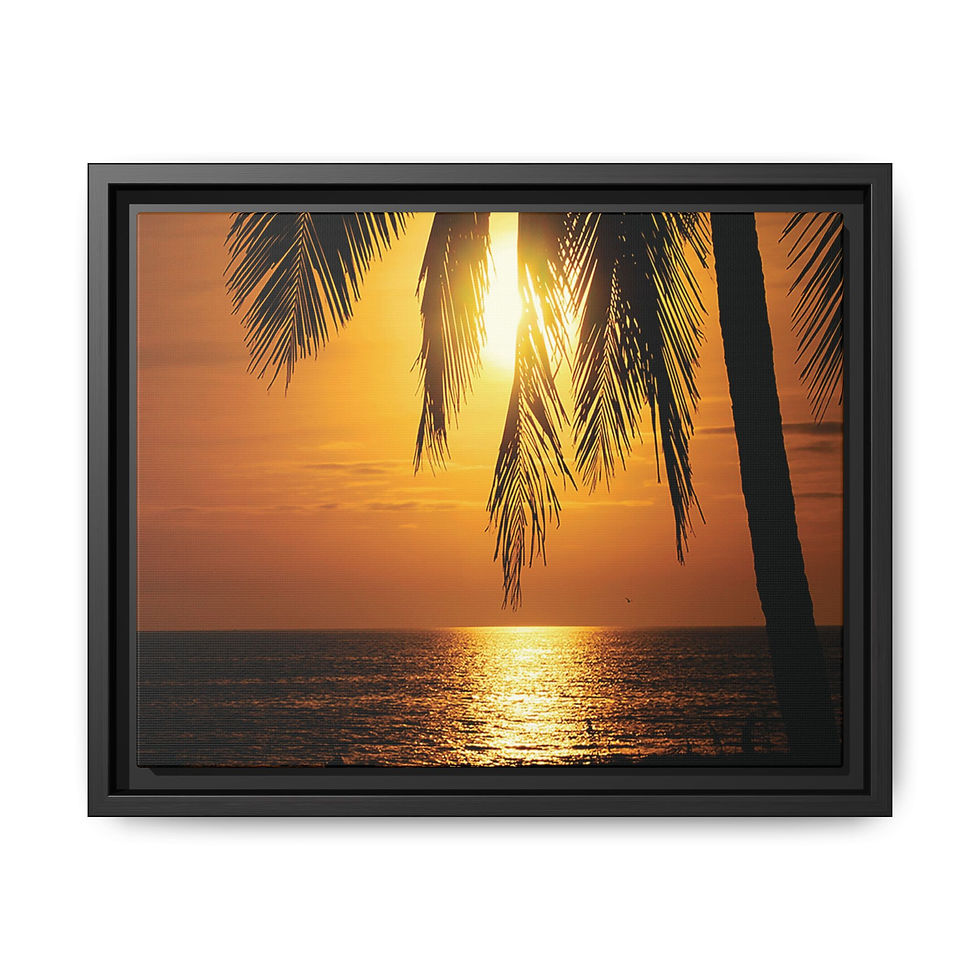 Tropical Sunset 
