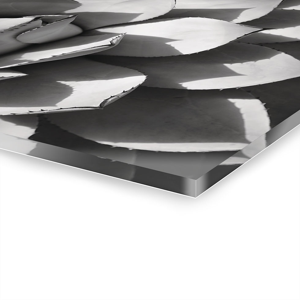 Thumbnail: Desert Shadows 