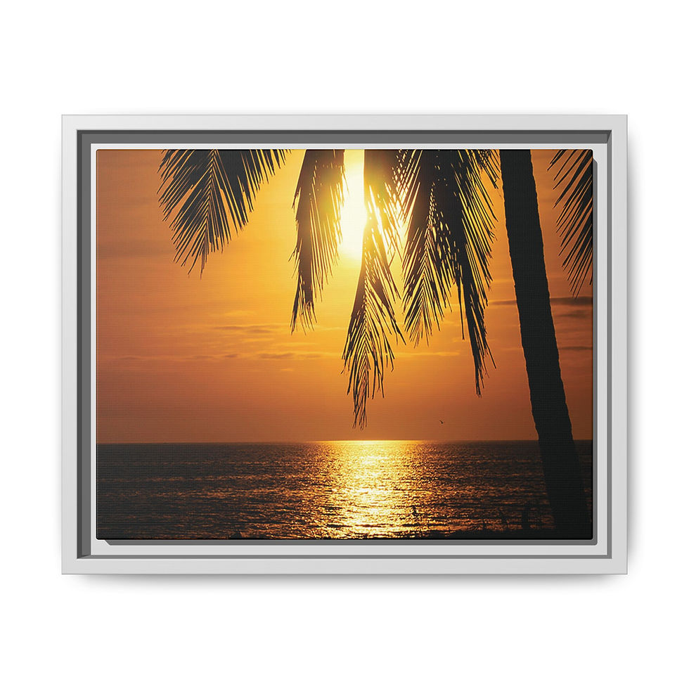 Thumbnail: Tropical Sunset 