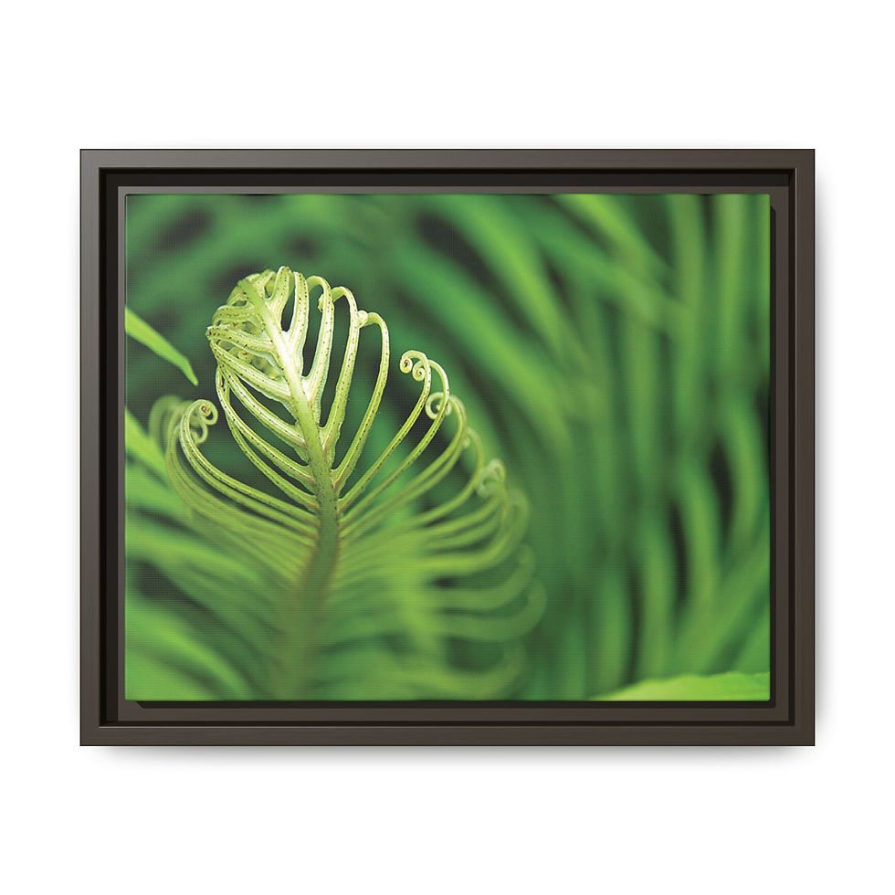 Thumbnail: Unfurling 