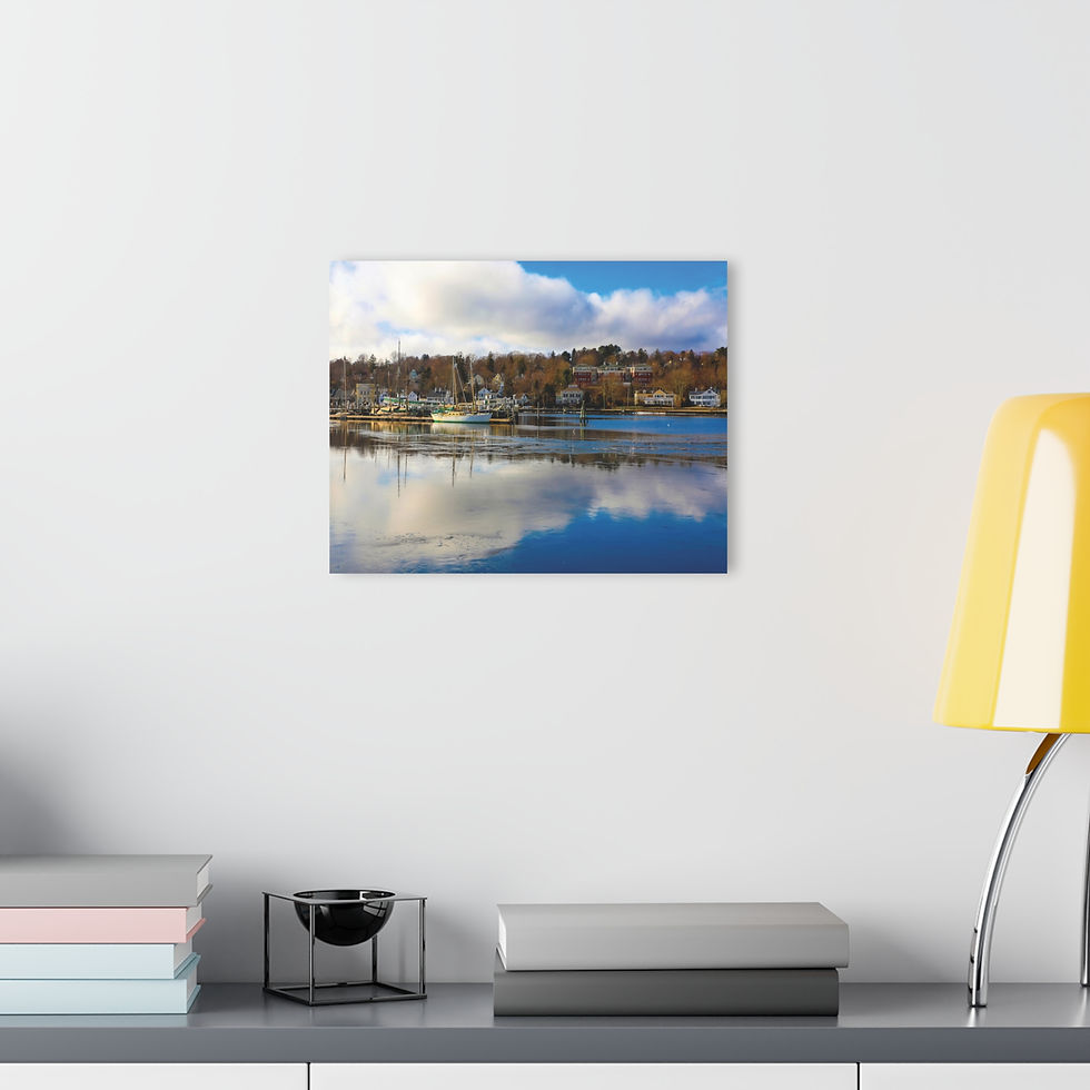 Thumbnail: Mirroring the Sky 