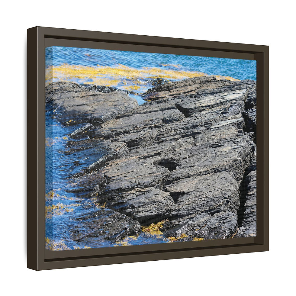 Thumbnail: Metamorphic Rock 