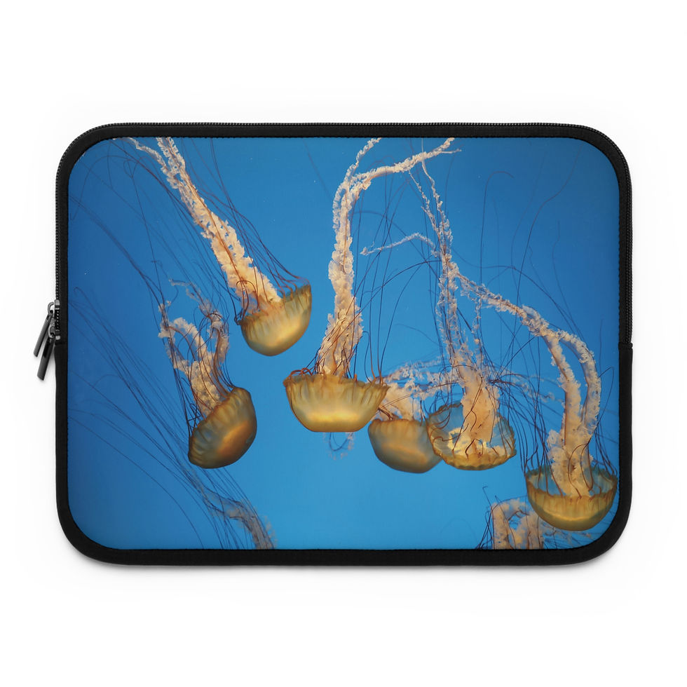 Pacific Nettle Jellyfish